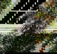 Fitzpatrick's Inn - Darwin Holiday