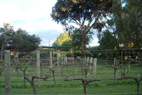 Southern Vales Bed & Breakfast - Darwin Holiday 7