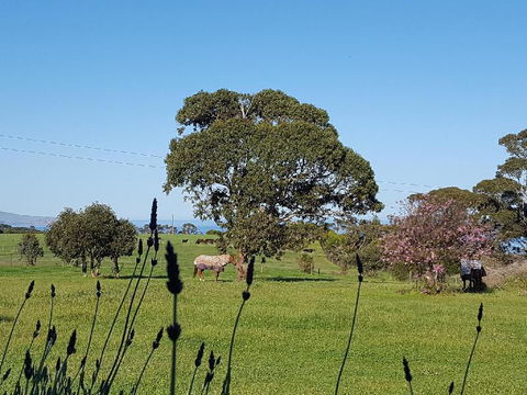 Dees Villa Bed & Breakfast - Darwin Holiday 6