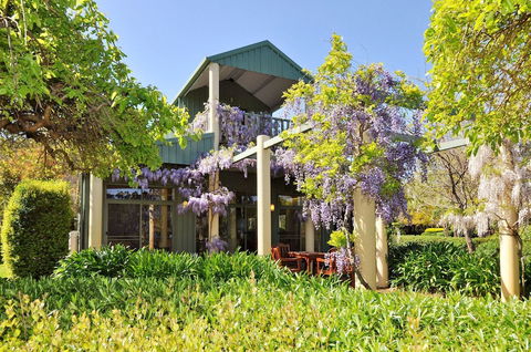 Tree Elle - Darwin Holiday 1