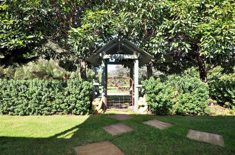 Tree Elle - Darwin Holiday 2