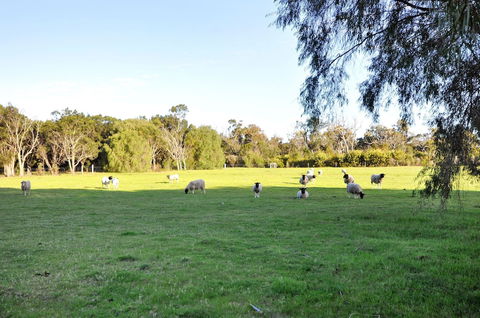 Tree Elle - Darwin Holiday 6