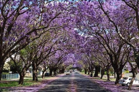 Civic Motel - Darwin Holiday 3