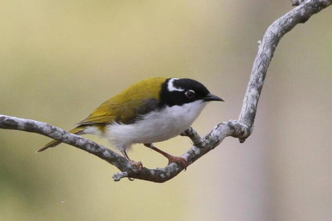 Tracks End Retreat - Darwin Holiday 5