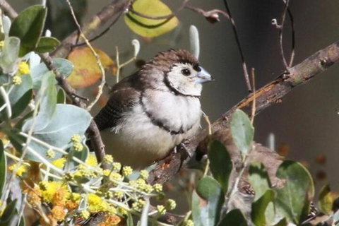 Tracks End Retreat - Darwin Holiday 6