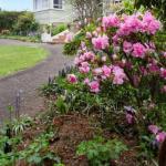 Forester TAS Darwin Holiday