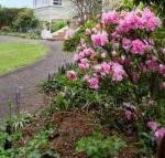 Anabels of Scottsdale - Darwin Holiday