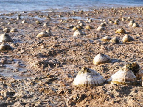 Port Lincoln Holiday Apartments - Darwin Holiday 5