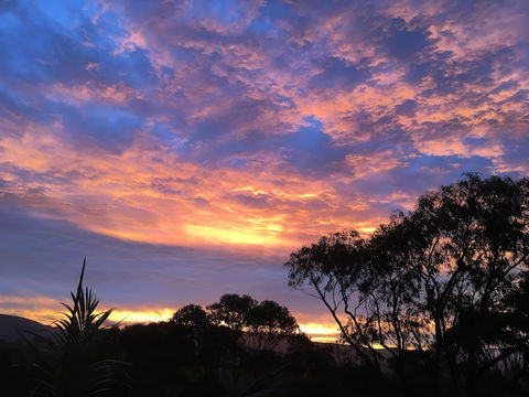 Bed & Breakfast At Kiama - Darwin Holiday 3