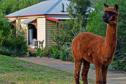 Araluen Park Cottages - Darwin Holiday 6