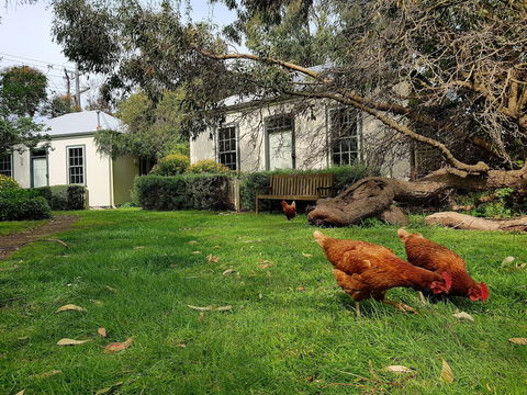 Clonmara Country House & Cottages - Darwin Holiday 1