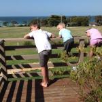 Beachend Bicheno - Darwin Holiday 0