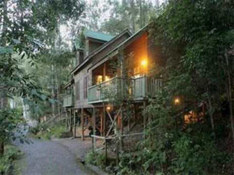 Barrington Wilderness Cedar Lodge Accommodation - Darwin Holiday 2