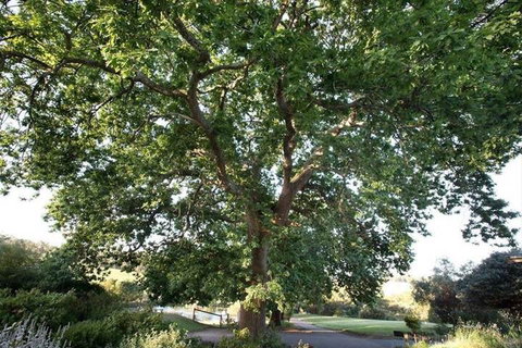 Limetree Hideaway - Darwin Holiday 7