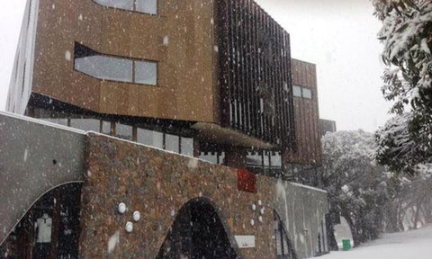 Buller Central - Darwin Holiday 2