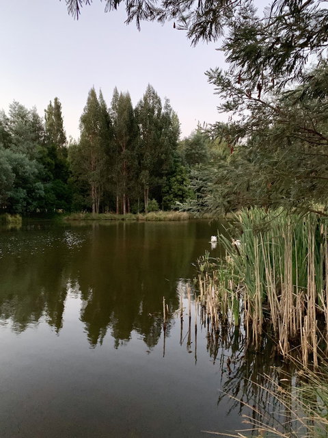 Giants Table And Cottages - Darwin Holiday 5