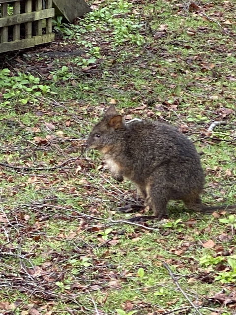 Giants Table And Cottages - Darwin Holiday 2