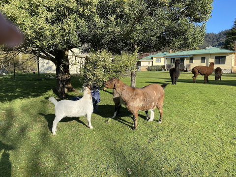 Giants Table And Cottages - Darwin Holiday 3