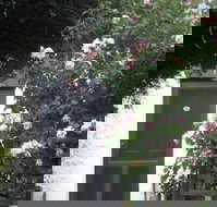 Ivy on Glenelg - Darwin Holiday