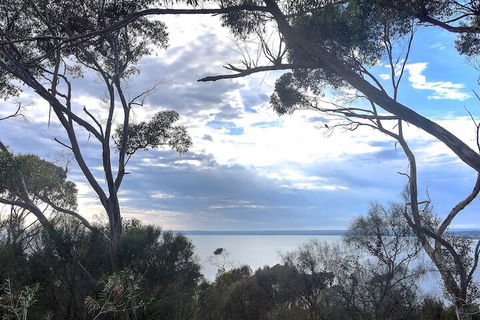 Wanderers Rest Of Kangaroo Island - Darwin Holiday 7
