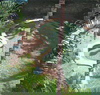 Palms at Trinity - Darwin Holiday