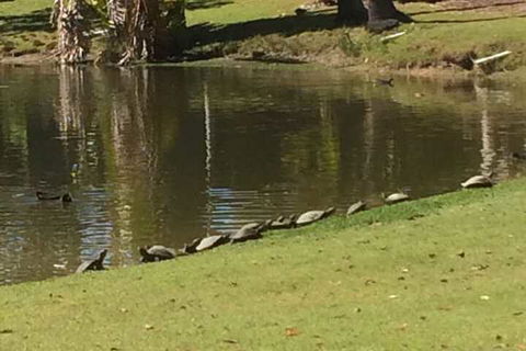 Sanctuary Lakes Fauna Retreat - Darwin Holiday 1