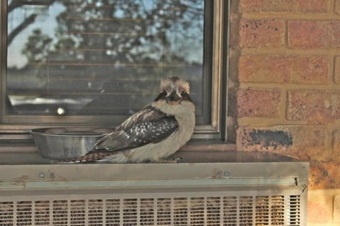 The Vineyard Motel - Darwin Holiday 6