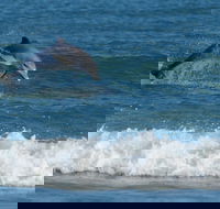 Summerhills Retreat Byron Bay - Darwin Holiday