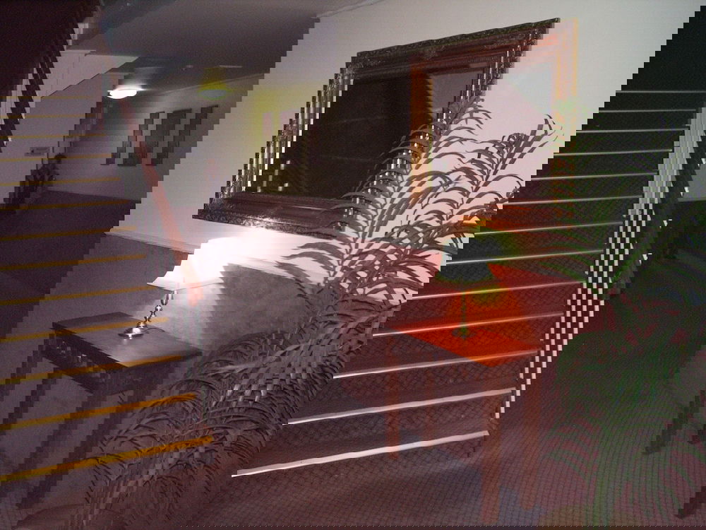 Woodville SA Darwin Holiday