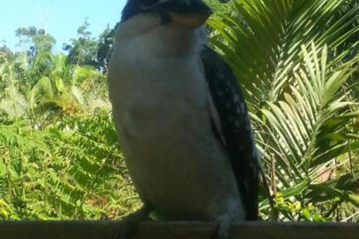 Moonee Beach NSW Darwin Holiday