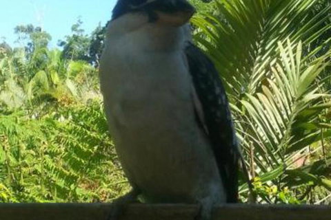 Tropic Oasis Holiday Villas - Darwin Holiday 0