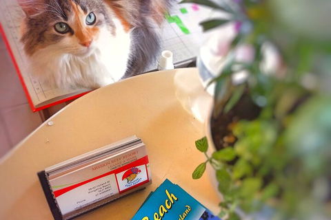 Mission Reef Resort - Darwin Holiday 6