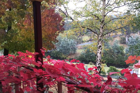 Crabtree House - Darwin Holiday 3