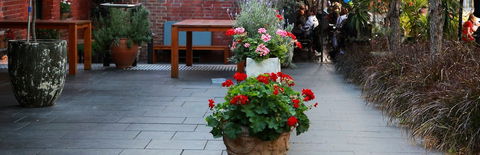 Sinclairs City Hostel - Darwin Holiday 6