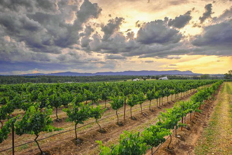 Adina Vineyard - Darwin Holiday 3