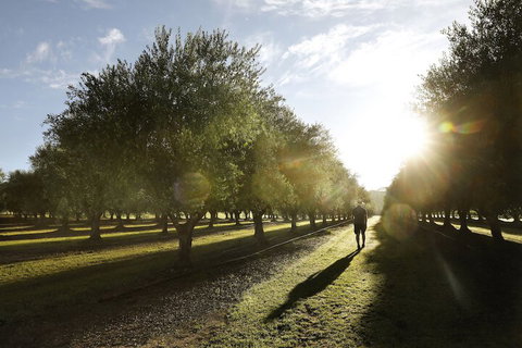 Adina Vineyard - Darwin Holiday 2