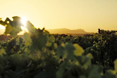 Adina Vineyard - Darwin Holiday 1