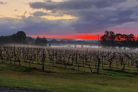 Adina Vineyard - Darwin Holiday 4