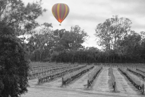 Adina Vineyard - Darwin Holiday 5