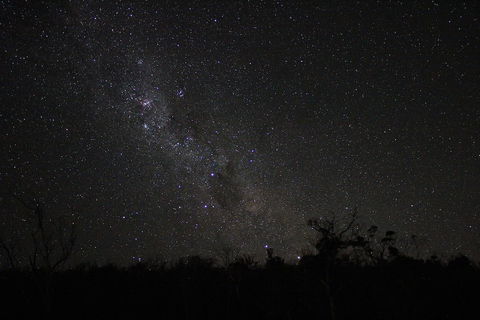 Storm Bay B&B - Darwin Holiday 1