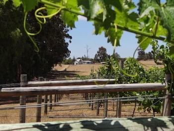 Big Brook Cottages - Darwin Holiday 4