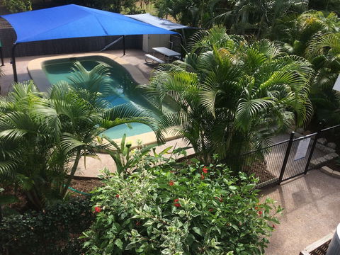 Tropical Palms - Darwin Holiday 5