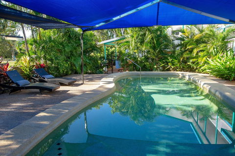 Tropical Palms - Darwin Holiday 4