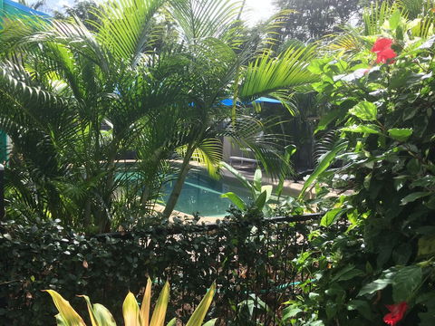Tropical Palms - Darwin Holiday 2