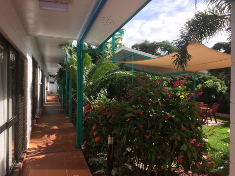Tropical Palms - Darwin Holiday 0
