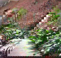 Edge of the Forest - Darwin Holiday