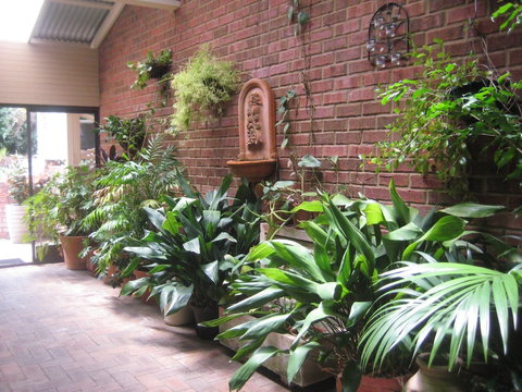 Edge Of The Forest - Darwin Holiday 0