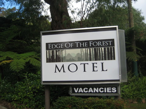 Edge Of The Forest - Darwin Holiday 2