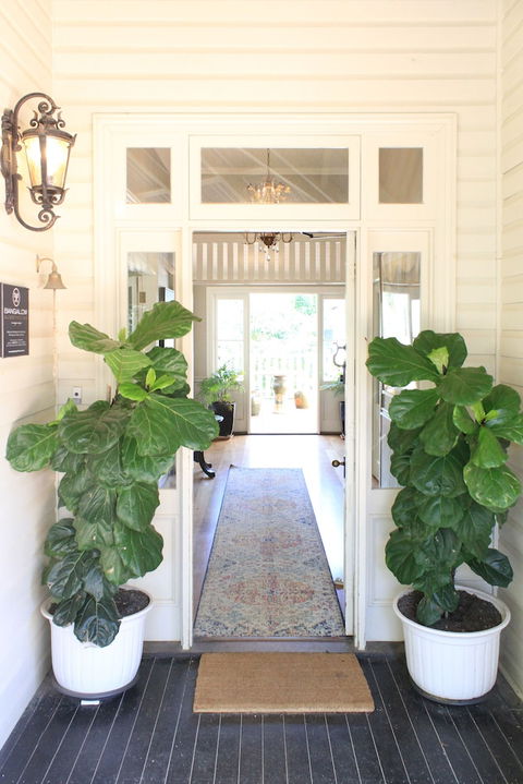Bangalow Guesthouse - Darwin Holiday 0