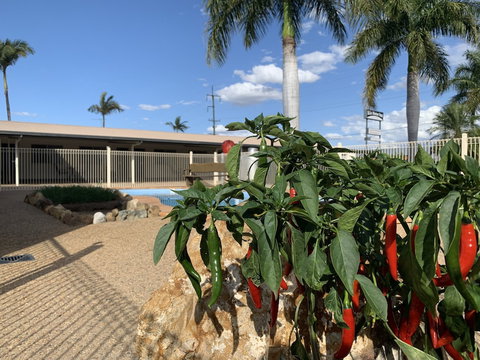 Silo Motor Inn - Darwin Holiday 6